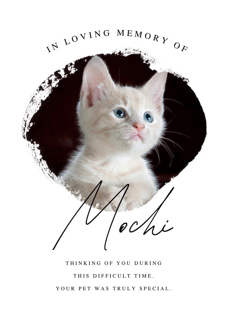 Photo brush stroke - loss of pet card