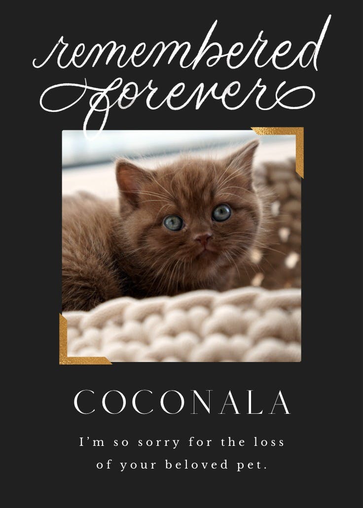 Remembered forever - loss of pet card