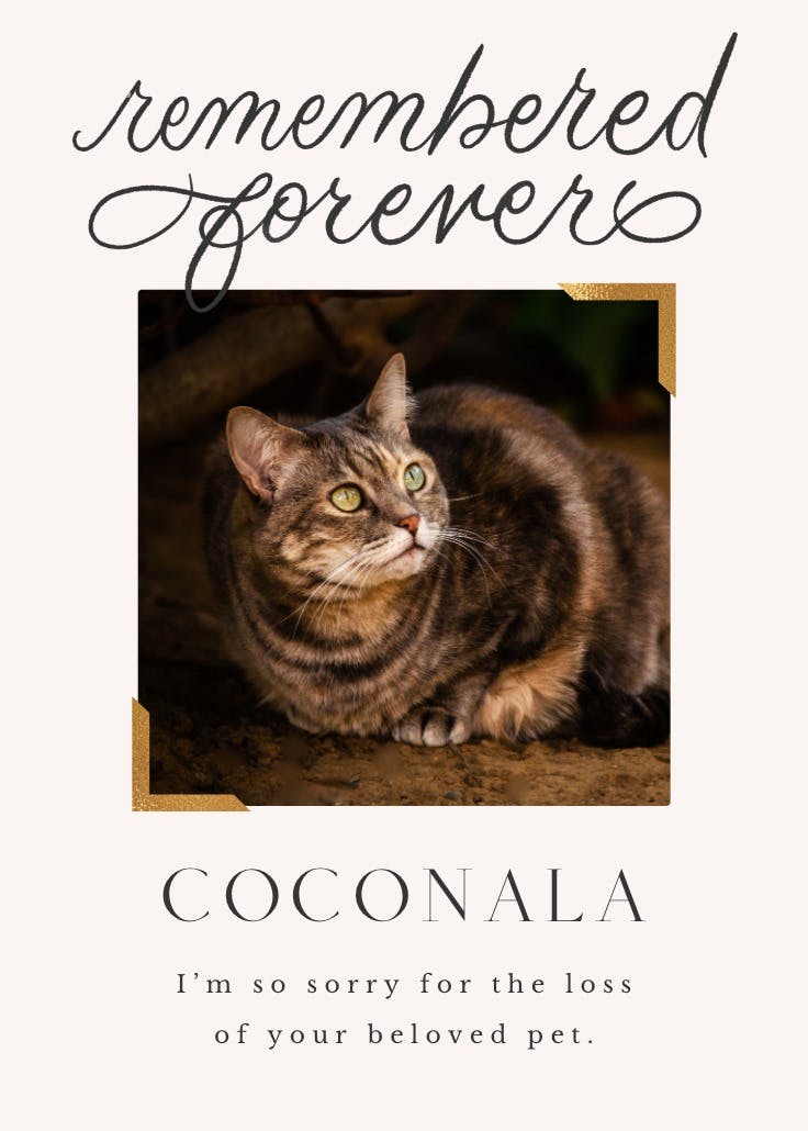 Remembered forever -  tarjeta de pérdida de una mascota