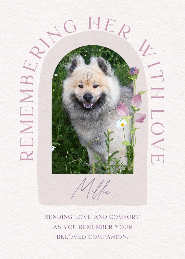 Remembering photo - loss of pet card