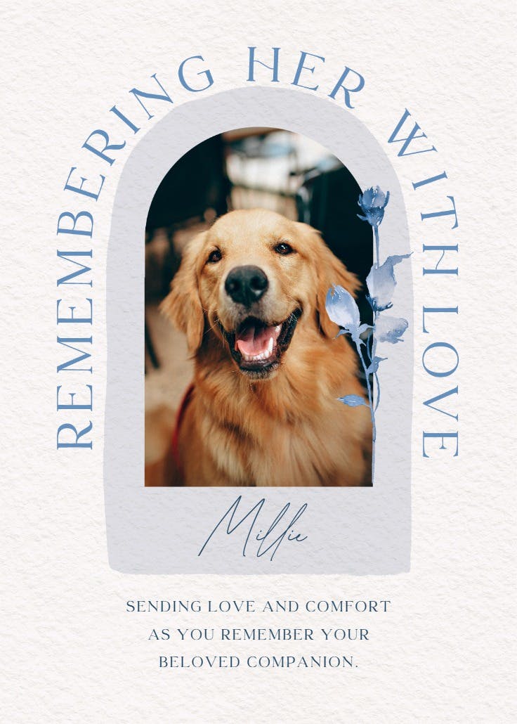 Remembering photo -  tarjeta de pérdida de una mascota