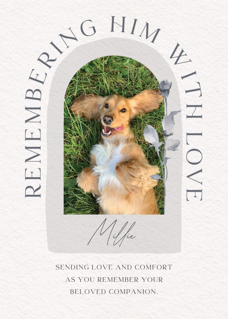 Remembering photo -  tarjeta de pérdida de una mascota