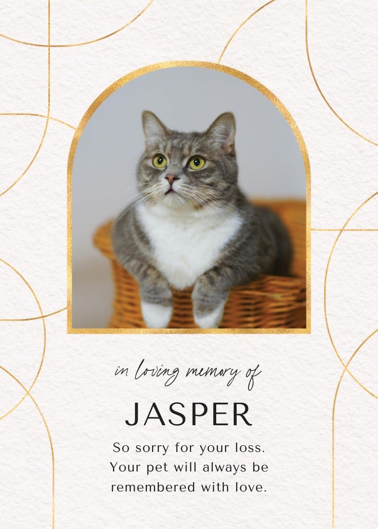 Sophisticated lines - loss of pet card