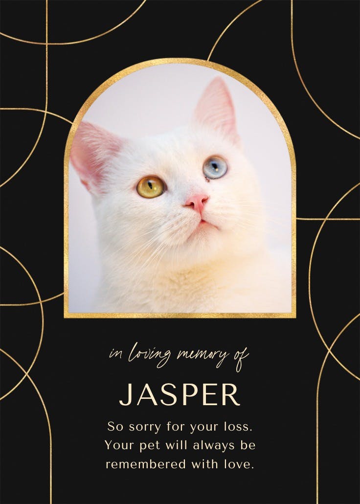 Sophisticated lines -  tarjeta de pérdida de una mascota