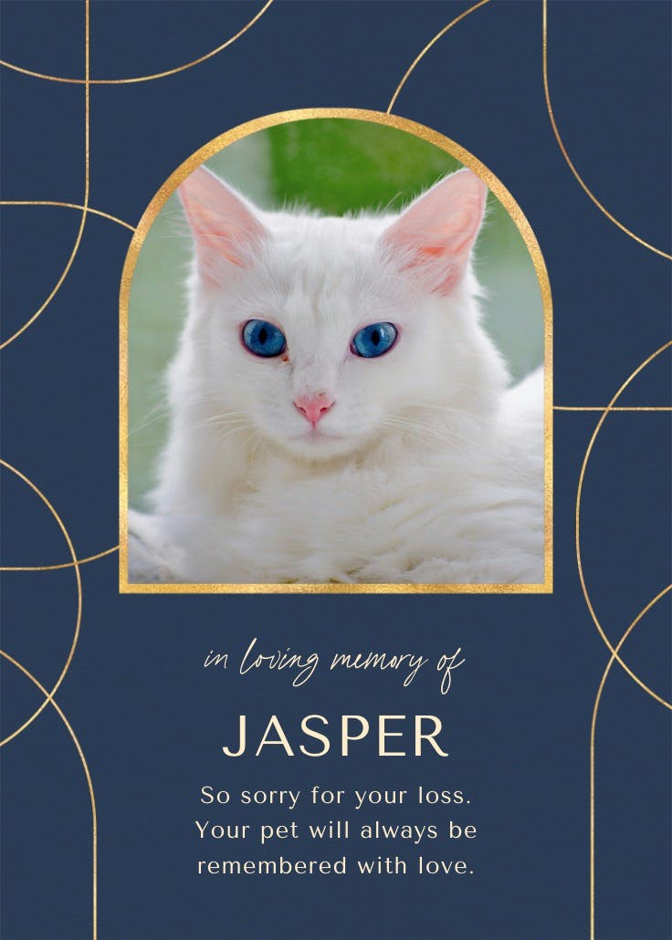 Sophisticated lines -  tarjeta de pérdida de una mascota