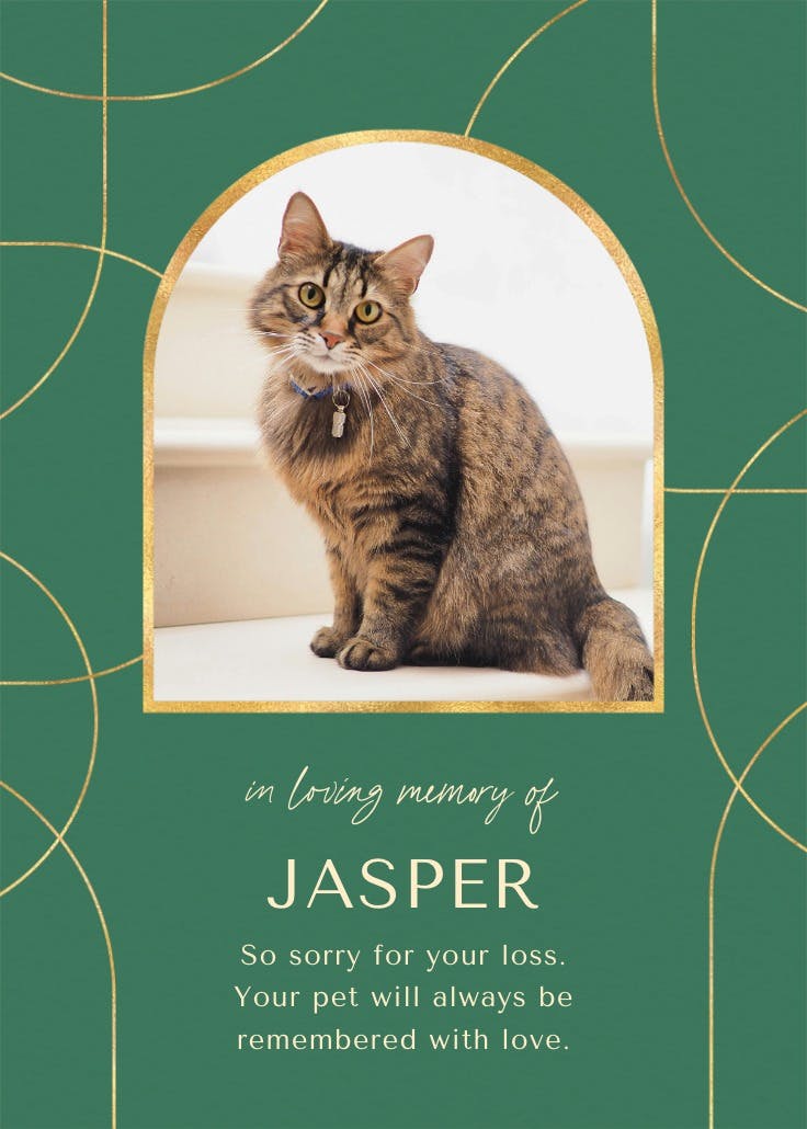 Sophisticated lines -  tarjeta de pérdida de una mascota