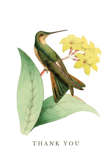 Thankful Bird - Thank You Card
