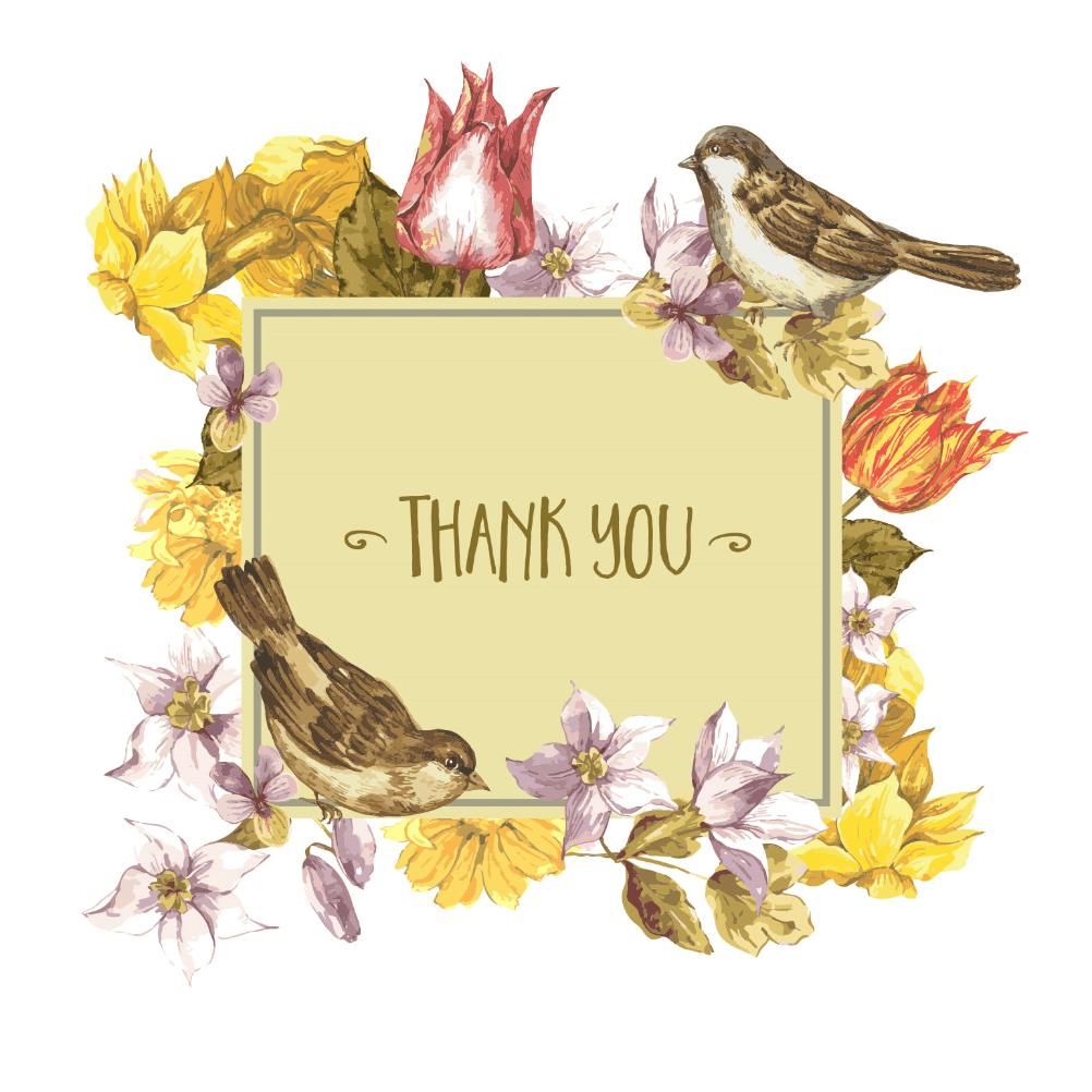Thoughtful thanks sparrows - thank you card