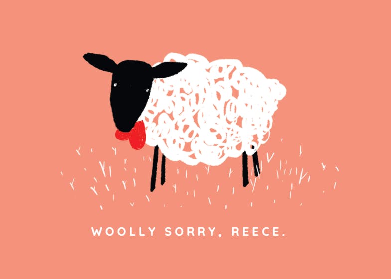 Woolly sorry - sorry card