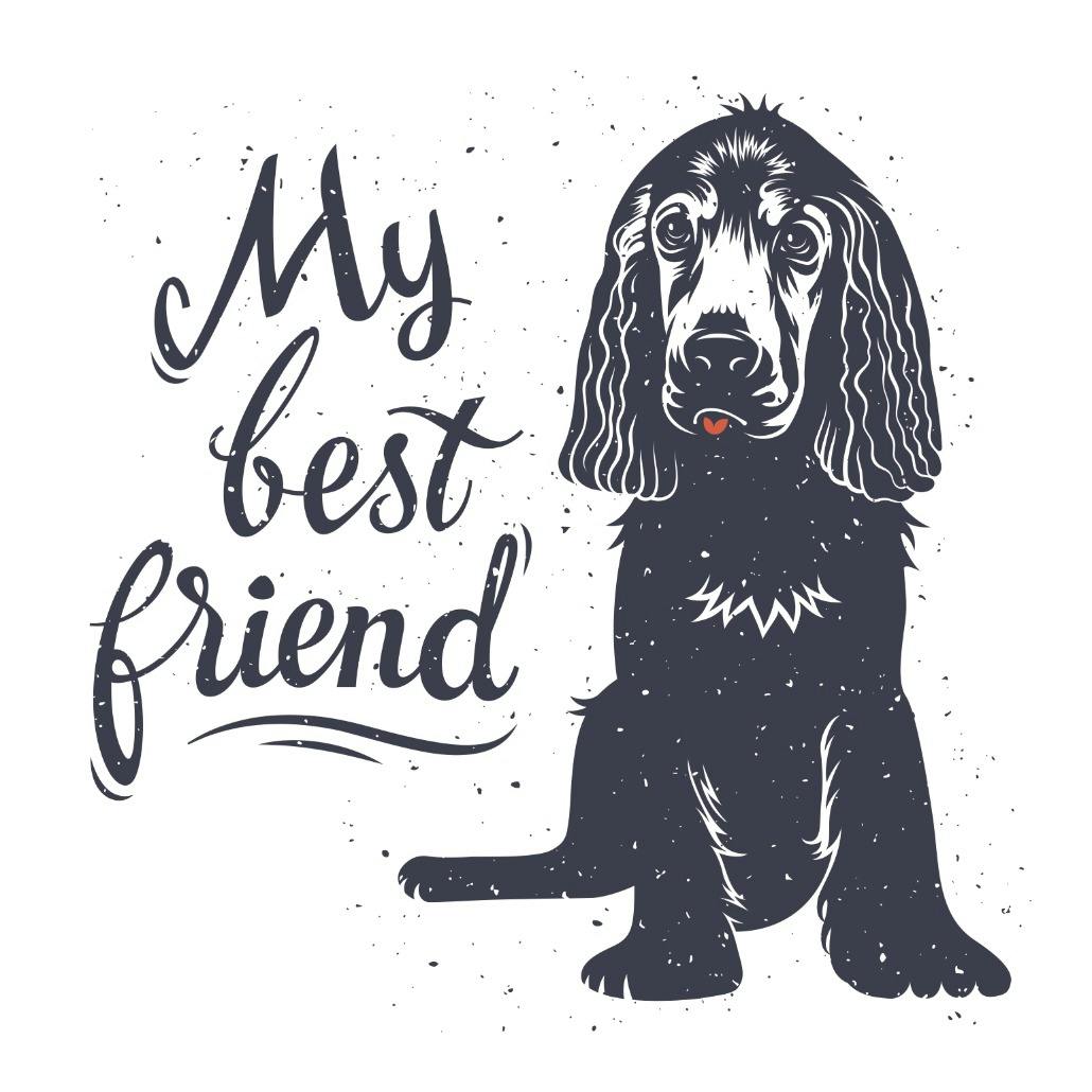 Faithful companion - friendship card