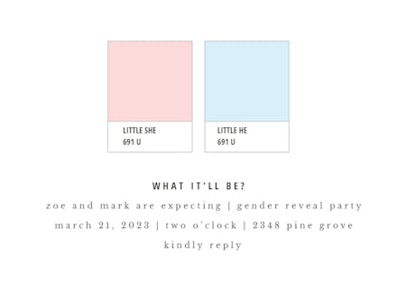 Pantone Baby - Gender Reveal Invitation