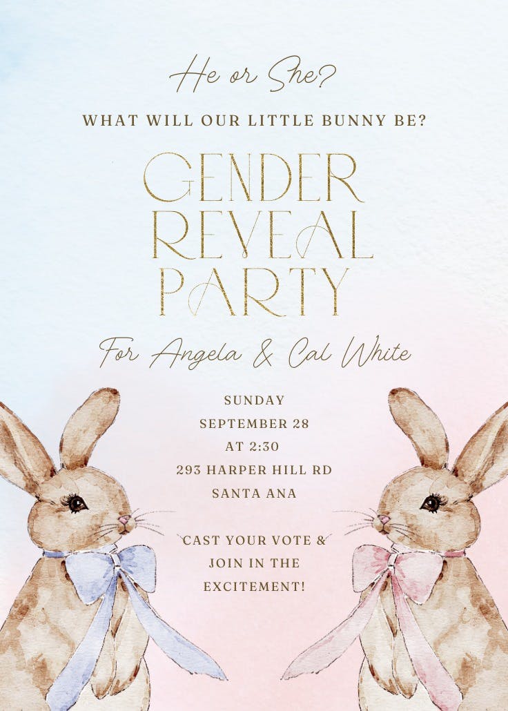 Velveteen rabbits - gender reveal invitation