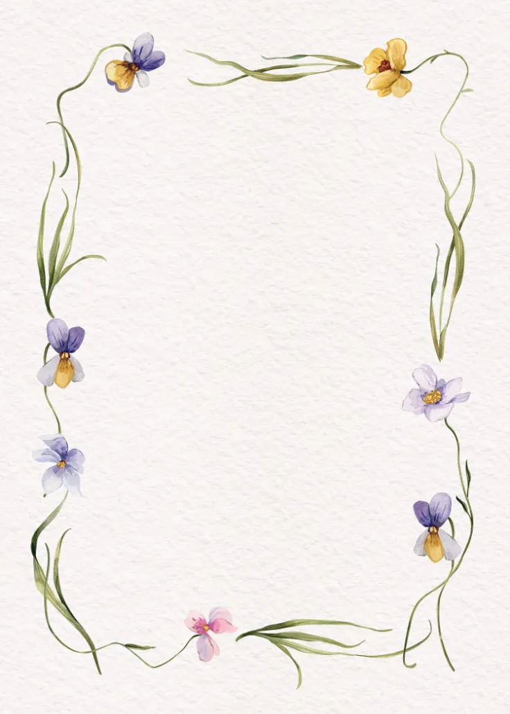 Viola – bordo pagina