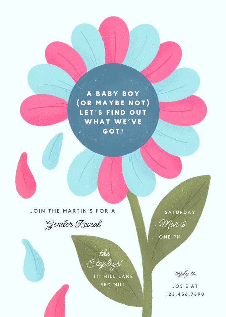 Maybe maybe not - gender reveal poster