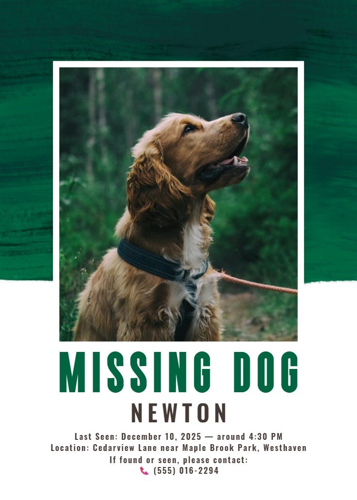 Colorful paint brushes - missing poster