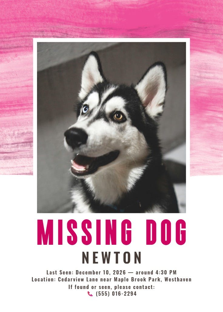 Colorful paint brushes - missing poster