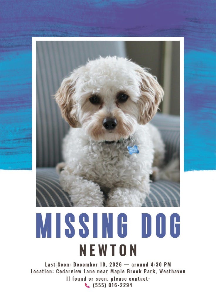 Colorful paint brushes - missing poster