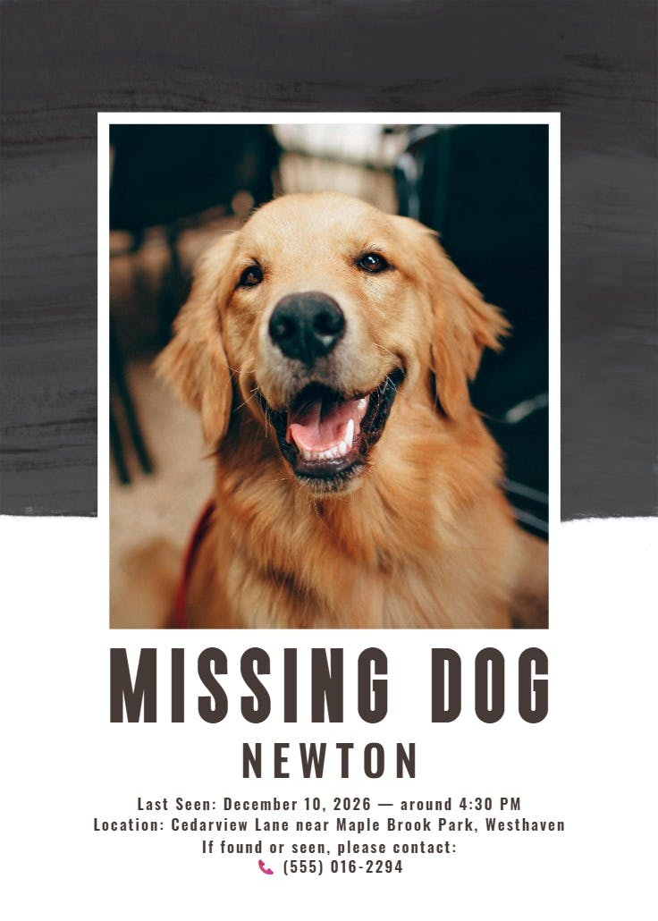 Colorful paint brushes - missing poster