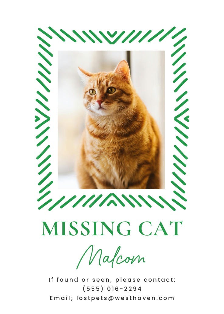 Doodle frame - missing poster