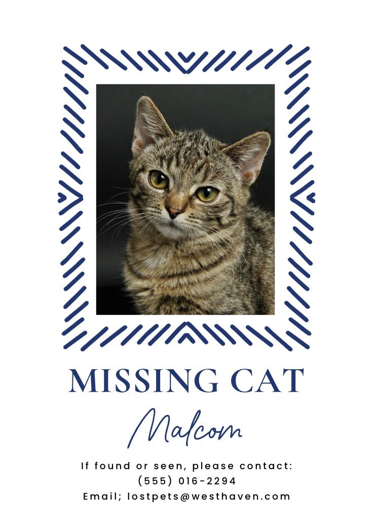 Doodle frame - missing poster