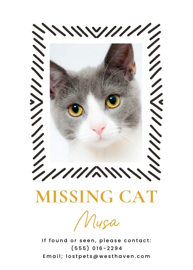 Doodle frame - missing poster