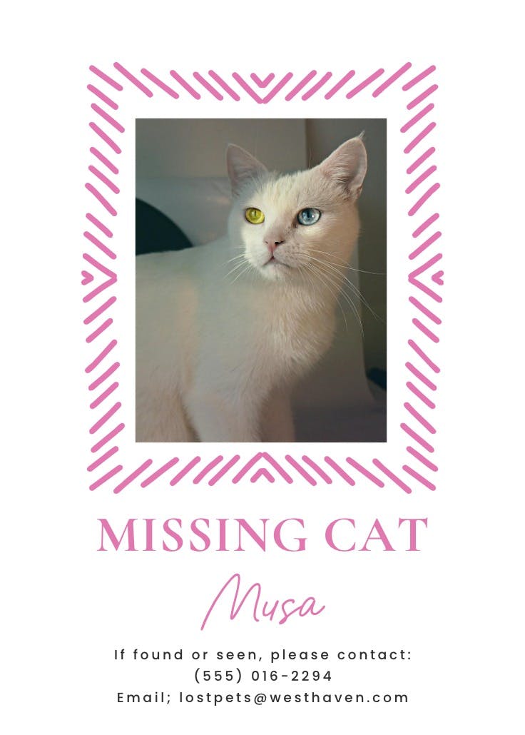 Doodle frame - missing poster