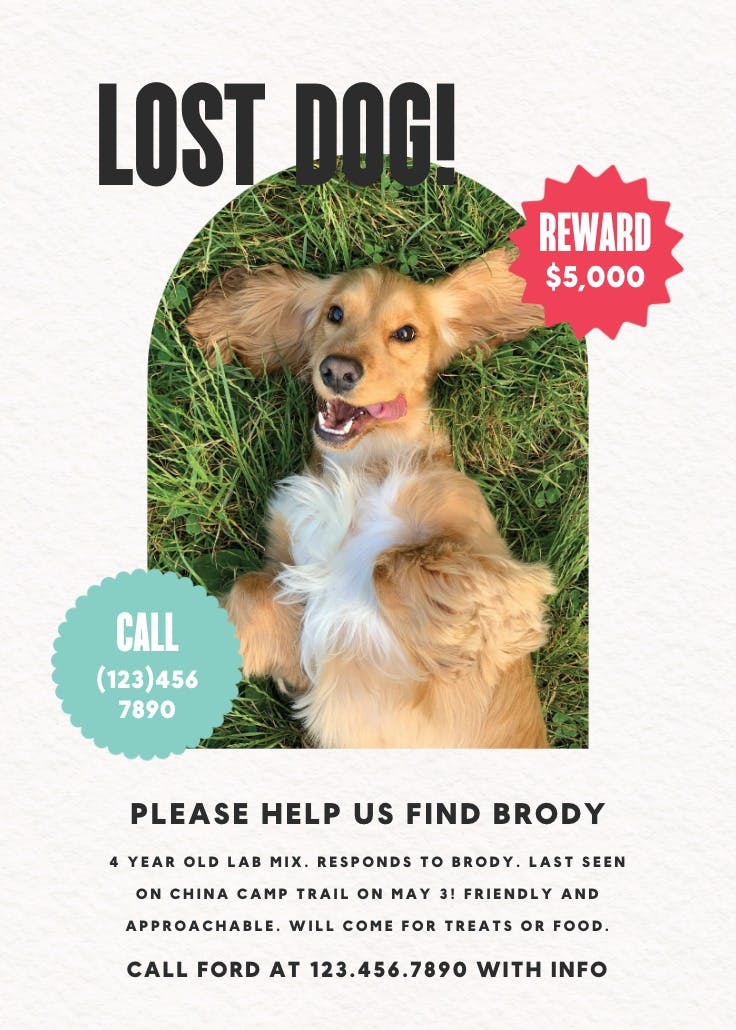 Dot whack - missing poster