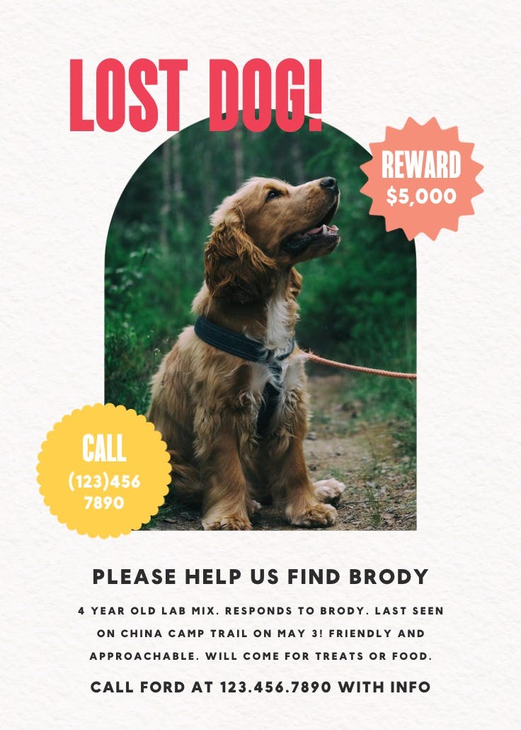 Dot whack - missing poster