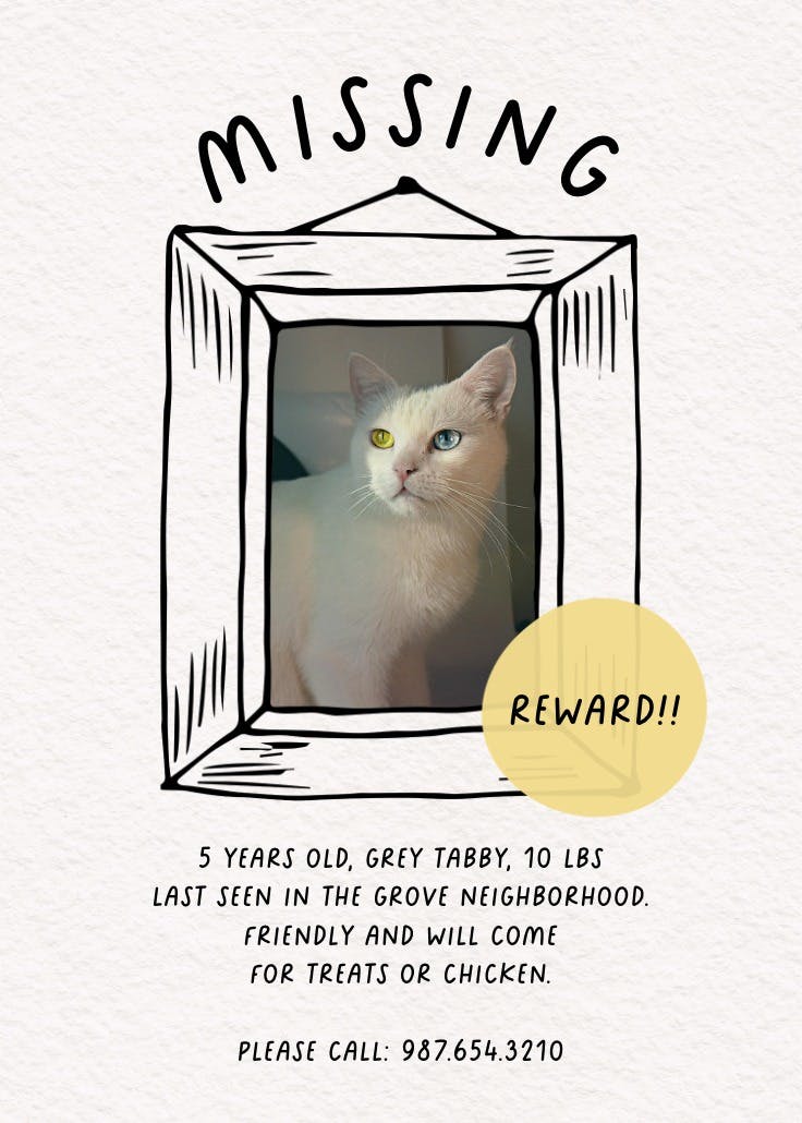 Hand drawn frame - missing poster