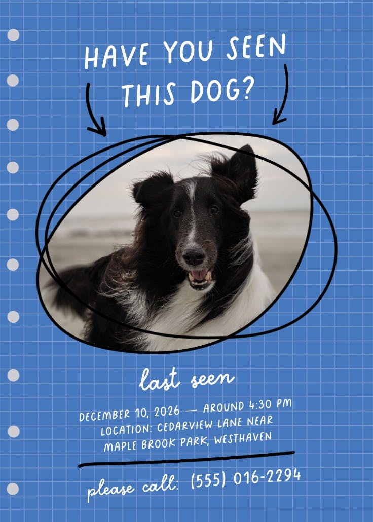 Cartel de desaparecido: help bring him home