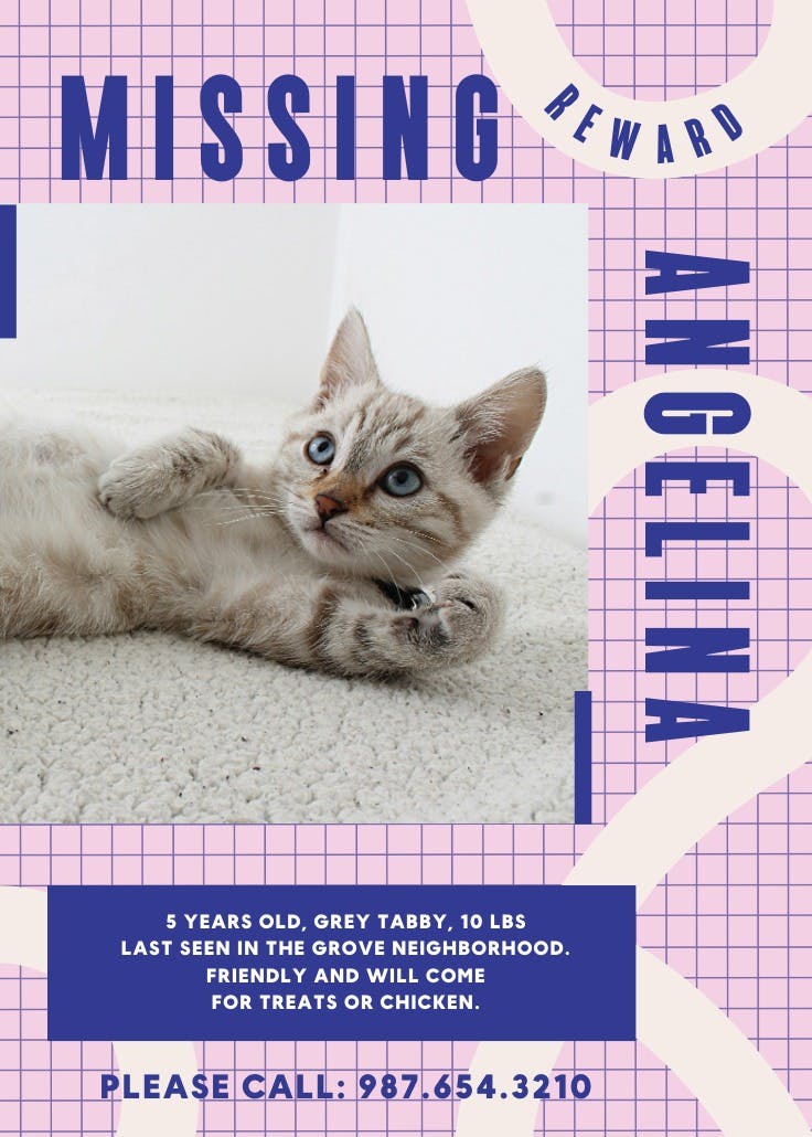 Cartel de desaparecido: help find angelina