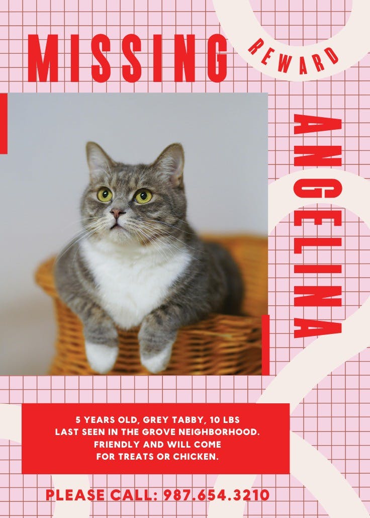 Help find angelina - missing poster