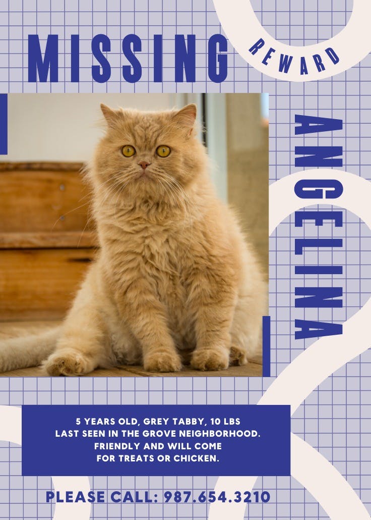 Help find angelina - missing poster