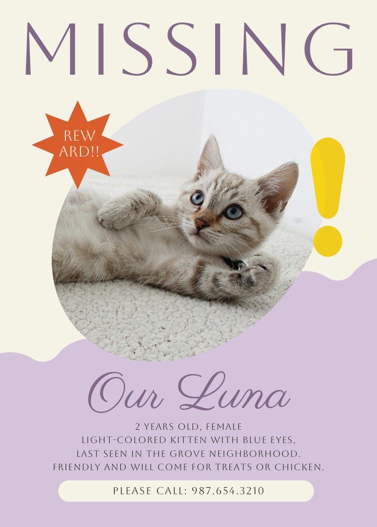 Cartel de desaparecido: lost but loved