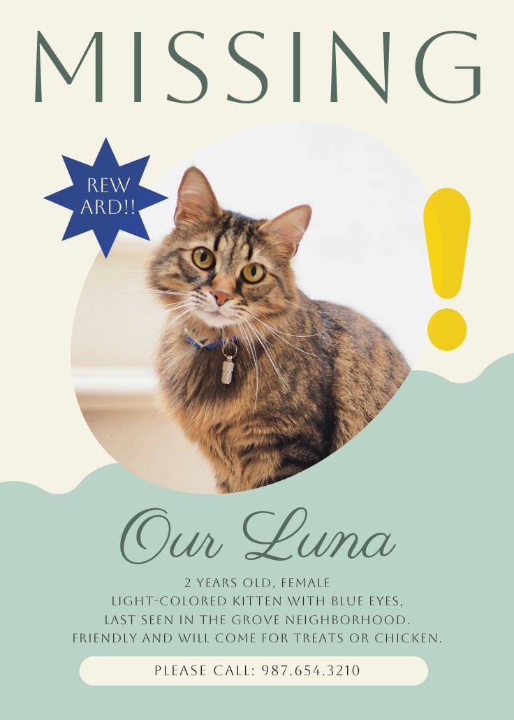 Lost but loved - missing poster