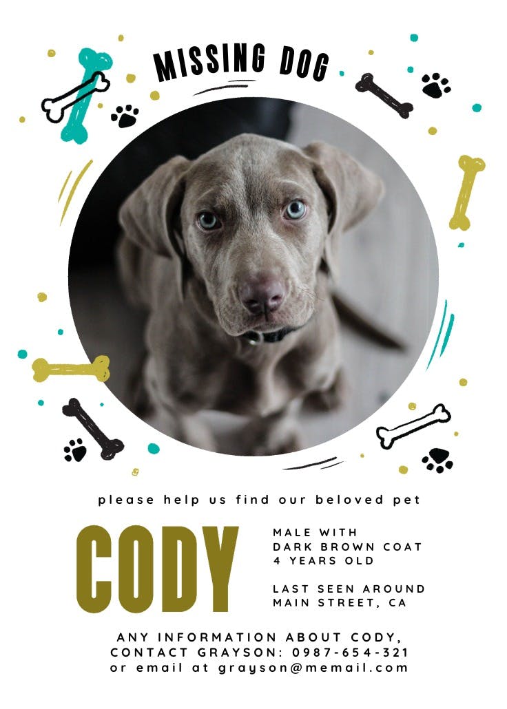 Missing dog - missing poster