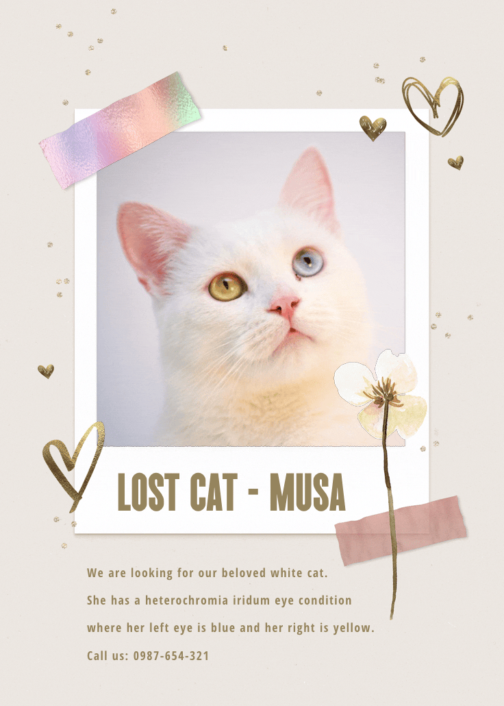 Paper and love - missing poster