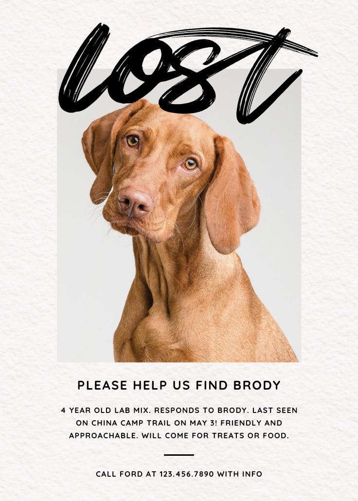 Cartel de desaparecido: script lost