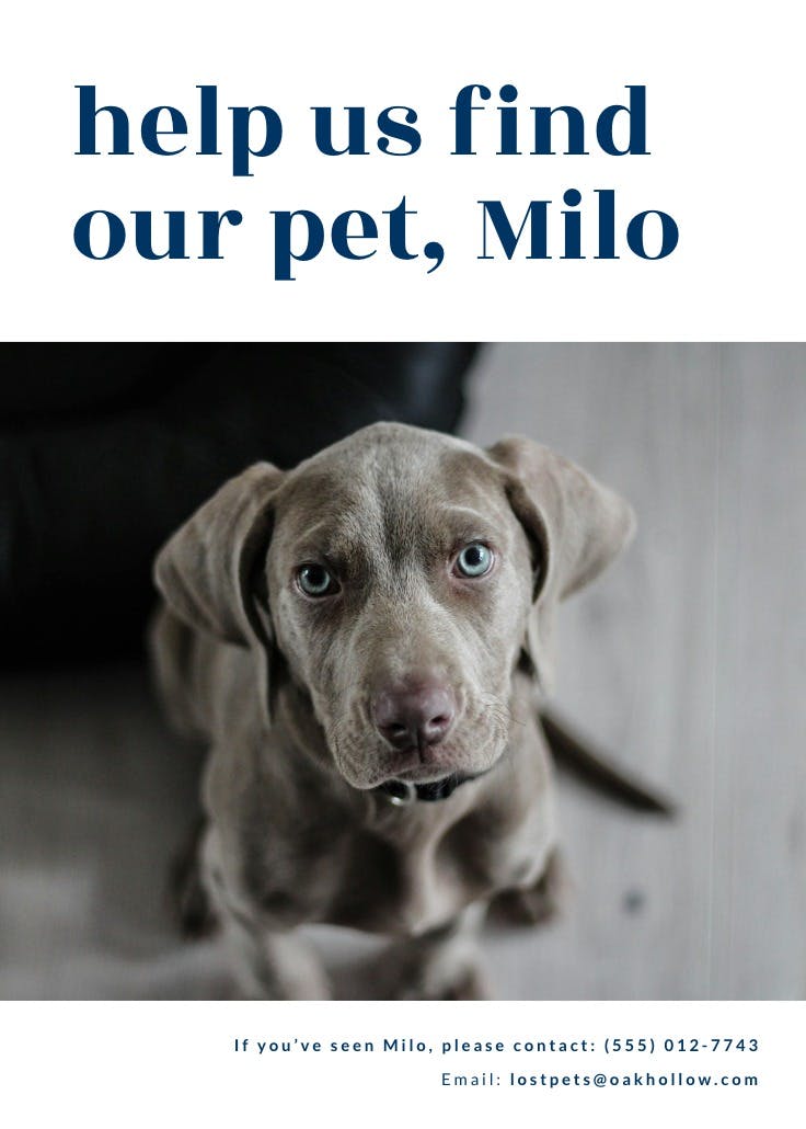 Trendy bold text - missing poster