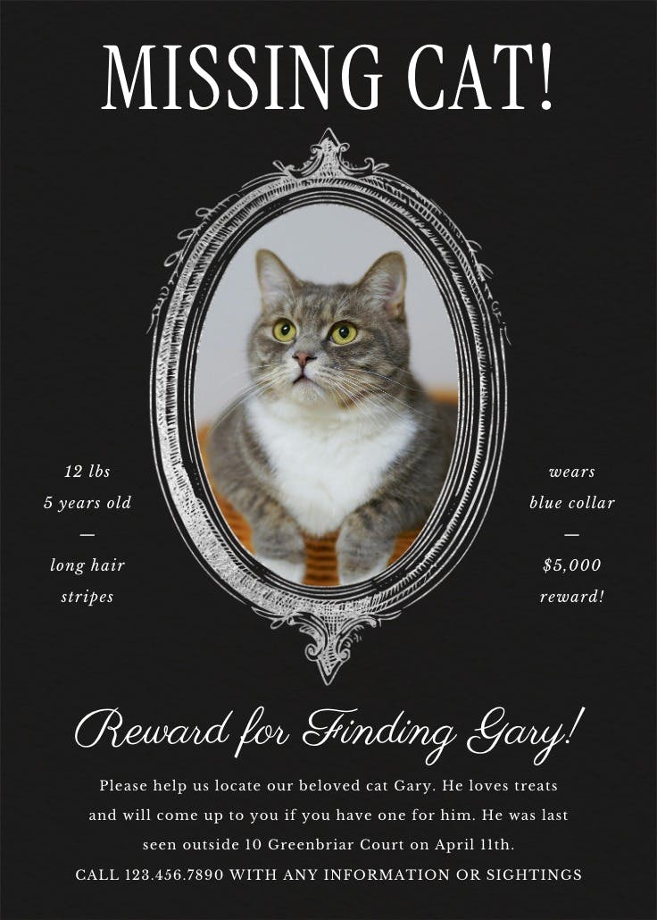 Vintage frame doodle - missing poster