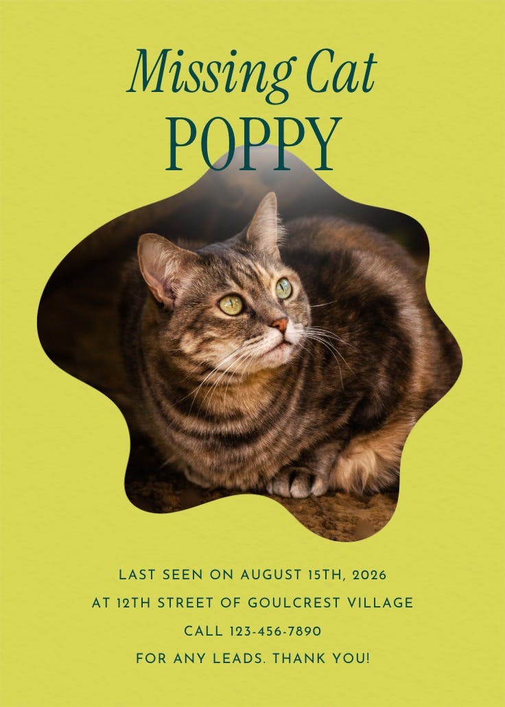 Cartel de desaparecido: you should return